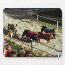 Pig race at the County Fair - Mousepad