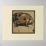 Pig - Square Animals Illustration Poster
