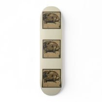 Pig - Square Animals Illustration