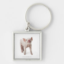 Pig Standing Looking Up Key Chain
