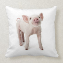 Pig Standing Looking Up Pillows
