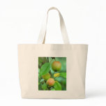Pigeon apples bags