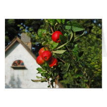 Pigeon Apples Greeting Cards