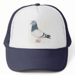 "Pigeon" Bird Art Hat