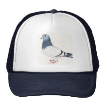 "Pigeon" Bird Art Hat