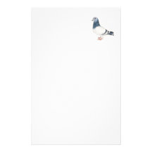 Pigeon Bird Art Stationery