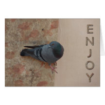 pigeon celebration card