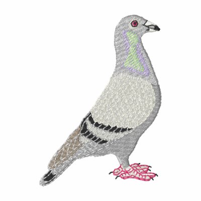 Pigeon Pigeon