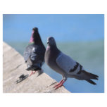 Pigeon flyers