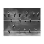 Pigeon Foosball Post Card