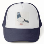 Pigeon Hat