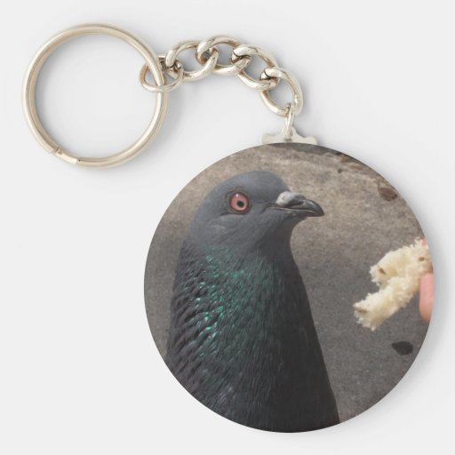 pigeon keychain