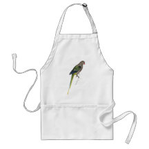 Pigeon Parrakeet by Edward Lear Aprons