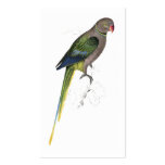 Pigeon Parrakeet by Edward Lear Business Card Templates