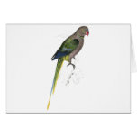 Pigeon Parrakeet by Edward Lear cards