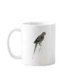 Pigeon Parrakeet by Edward Lear mugs