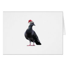 Pigeon Santa Hat Greeting Cards