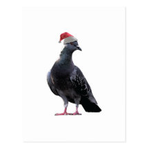 Pigeon Santa Hat Postcards