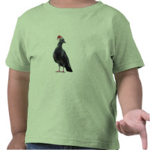Pigeon Santa Hat Tees