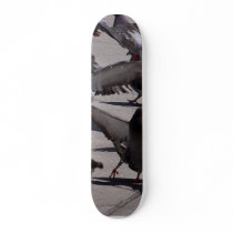 Pigeon Skate Boards