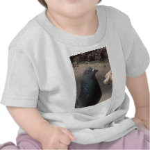 pigeon t-shirts