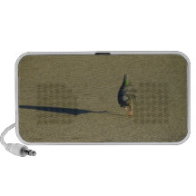 Pigeon walk doodle mp3 speakers