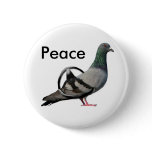 Pigeons for Peace buttons