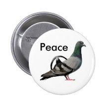 Pigeons for Peace Button