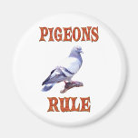 Pigeons Rule Magnet