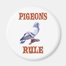 Pigeons Rule Magnet