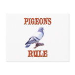 Pigeons Rule Post Cards