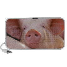 Piggy Speaker