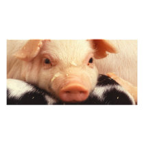Piglet Custom Photo Card