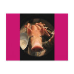 Piglet Postcard