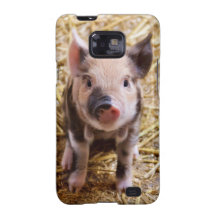 Piglet Samsung Galaxy SII Cases