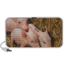 Piglets Mp3 Speaker