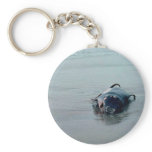 Pigmy Sperm Whale, Beached keychains