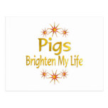 Pigs Brighten My Life Post Card