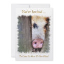 PIGS invitations