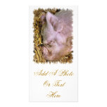 PIGS photo cards