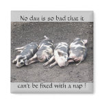 Pigs sleeping magnets