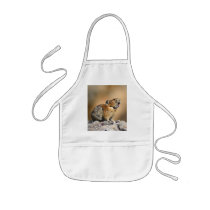 pika aprons