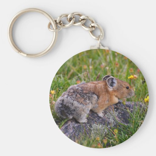 pika key chains
