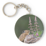 Pika Key Chains