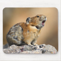 Pika mousepads