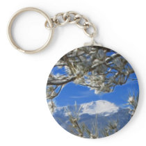Pikes Peak Winter Snow Covered Fractal Art Key Chains