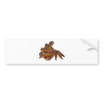 Pile of BBQ chicken wings Bumper Sticker