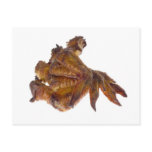 Pile of BBQ chicken wings postcards