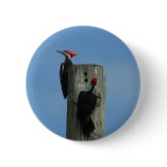 Pileated Woodpecker Button