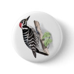 Pileated Woodpecker Pinback Buttons
